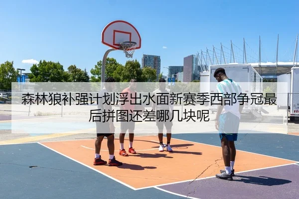 森林狼补强计划浮出水面新赛季西部争冠最后拼图还差哪几块呢